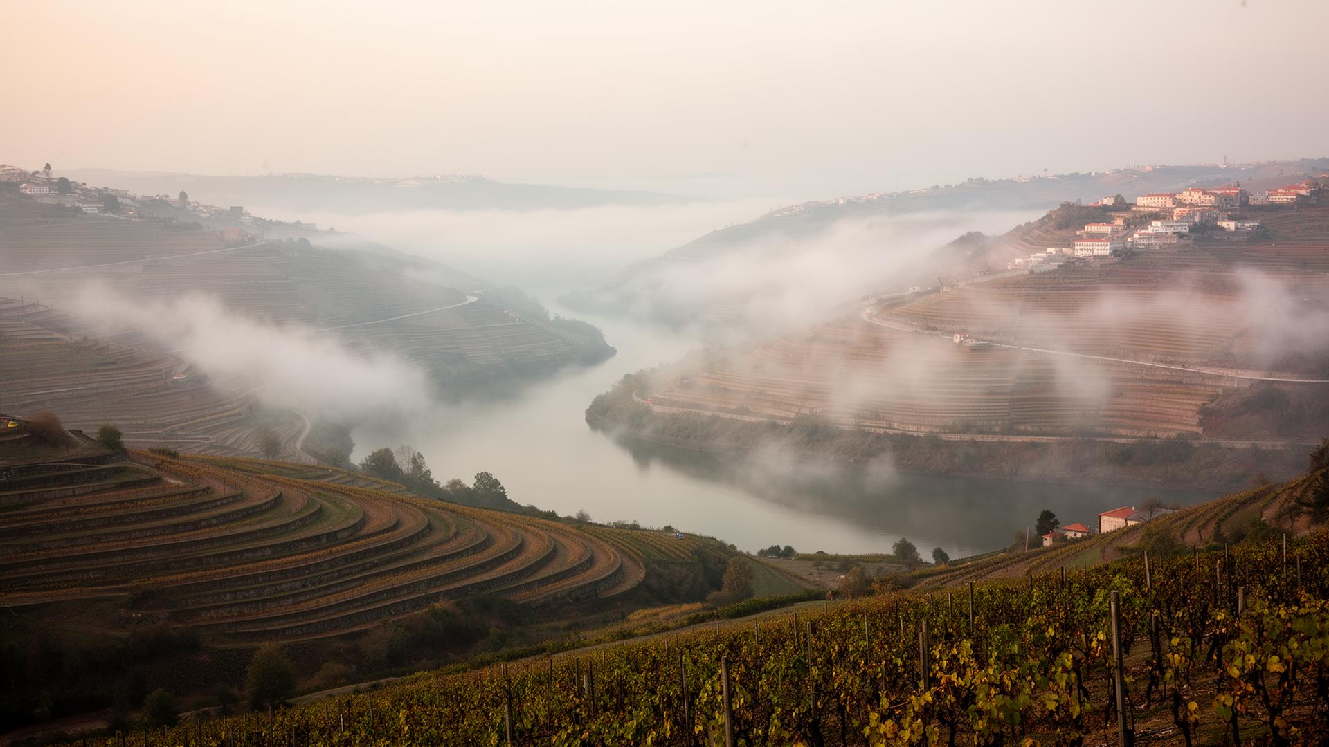 Itinerario Perfecto de 3 Días en el Valle del Duero